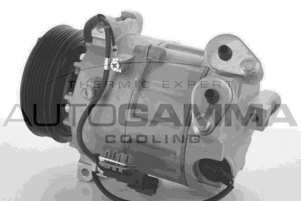 Compressor, air conditioning (118373)