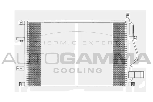 Condenser, air conditioning (102835)