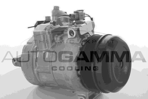 Compressor, air conditioning (118602)