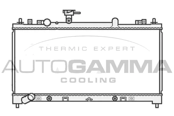 Radiator, engine cooling (107039)