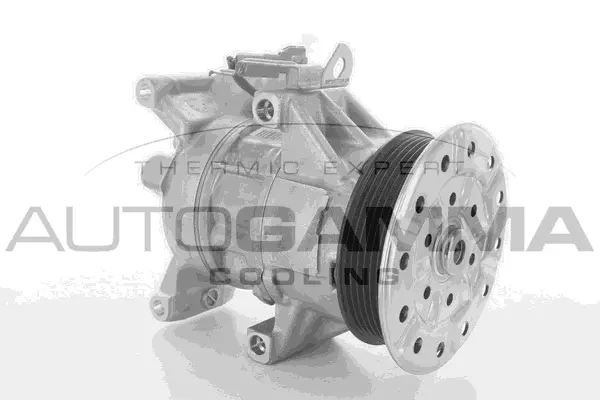 Compressor, air conditioning (118416)