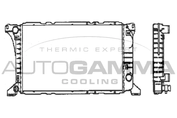 Radiator, engine cooling (100393)