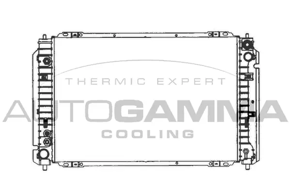 Radiator, engine cooling (103076)