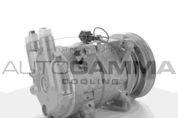 Compressor, air conditioning (118436)