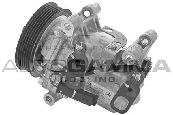 Compressor, air conditioning (118756)