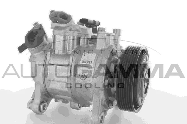 Compressor, air conditioning (118393)