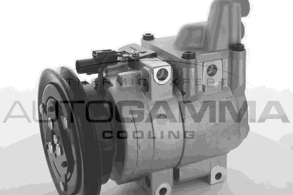 Compressor, air conditioning (118604)