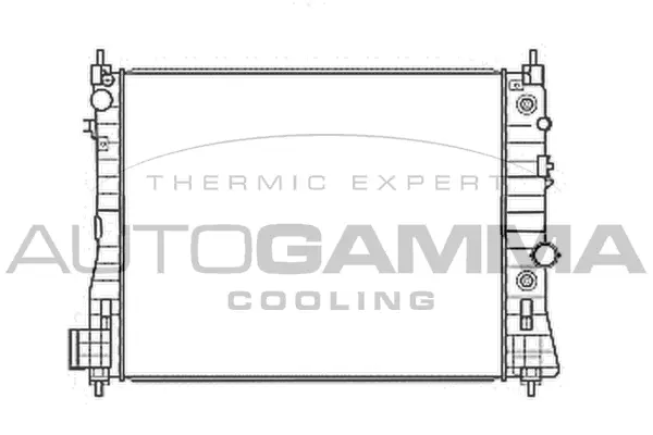 Radiator, engine cooling (107683)