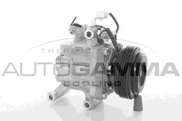Compressor, air conditioning (118432)