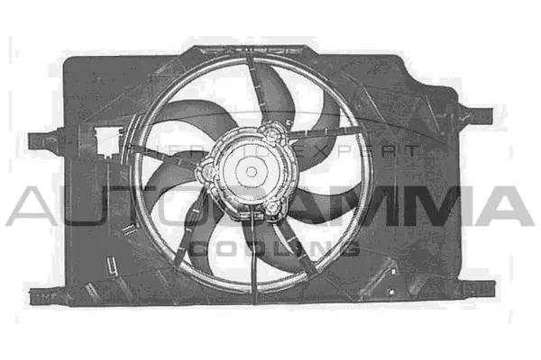 Fan, engine cooling (GA200609)