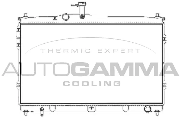 Radiator, engine cooling (107391)