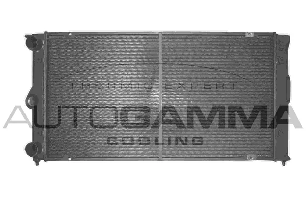Radiator, engine cooling (101067)