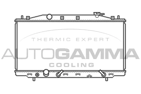 Radiator, engine cooling (105407)