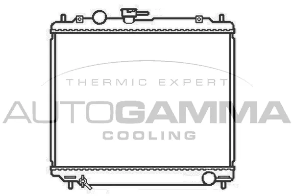 Radiator, engine cooling (102872)