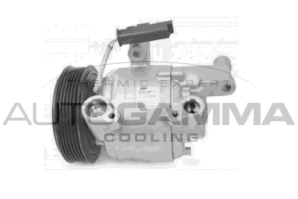 Compressor, air conditioning (118590)