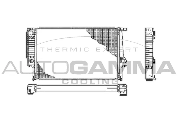 Radiator, engine cooling (100107)