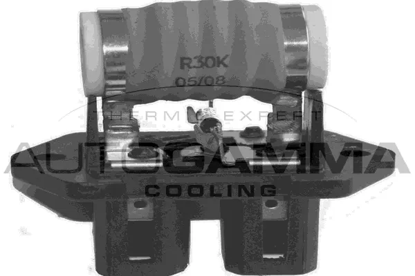 Series resistor, electric motor (radiator fan) (GA15508)