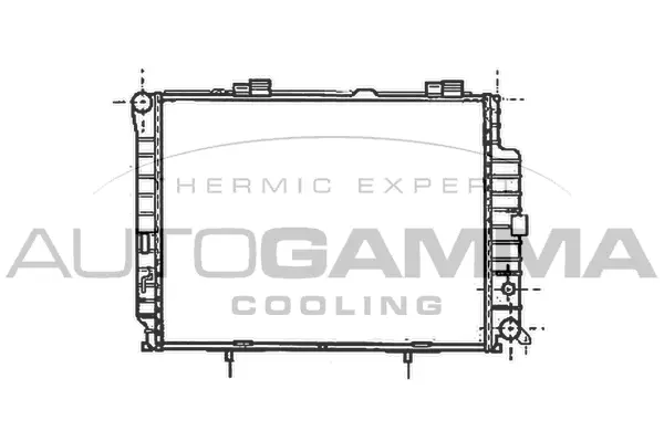 Radiator, engine cooling (101381)