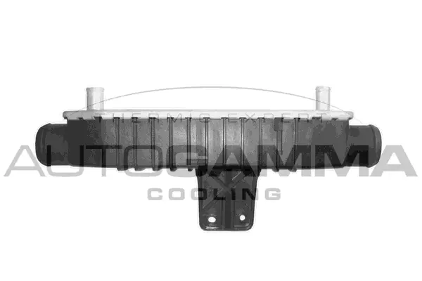 Charge Air Cooler (103664)