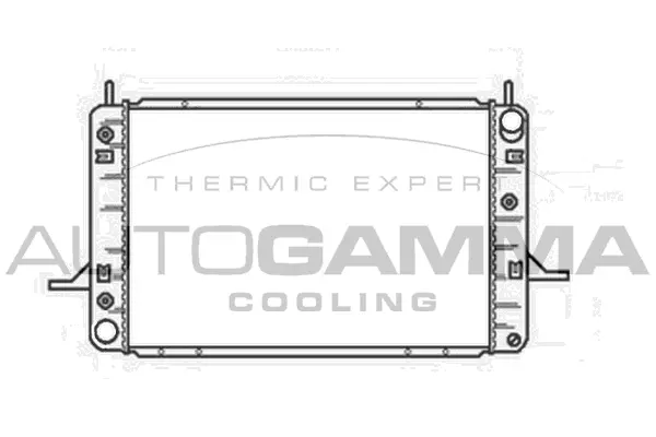 Radiator, engine cooling (104171)