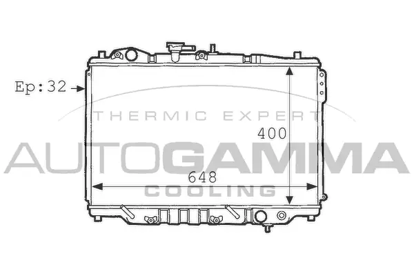Radiator, engine cooling (101131)