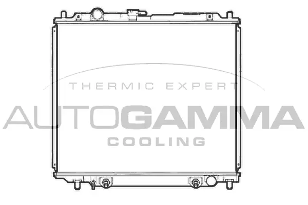 Radiator, engine cooling (107252)