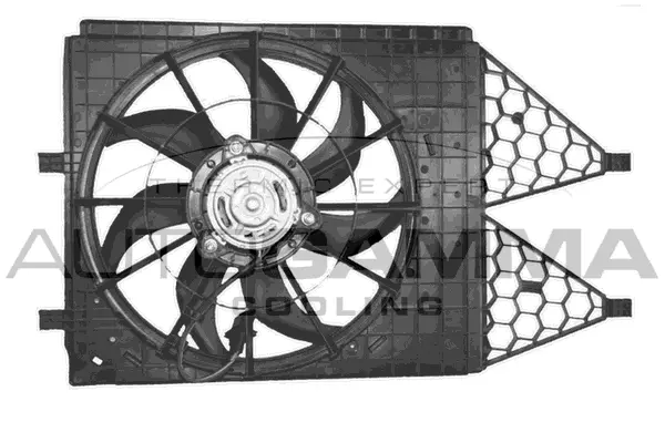 Fan, engine cooling
