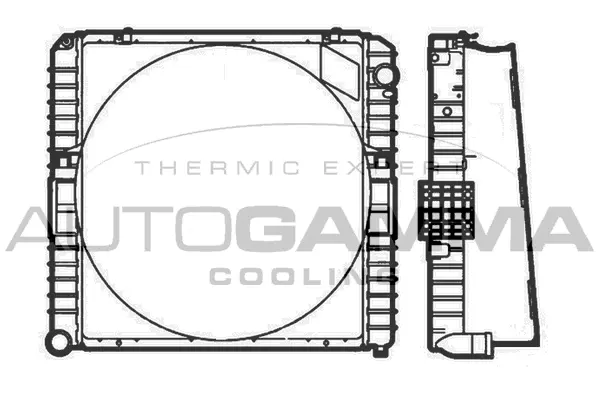 Radiator, engine cooling (403500)