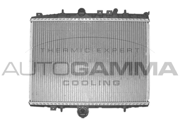 Radiator, engine cooling (102591)