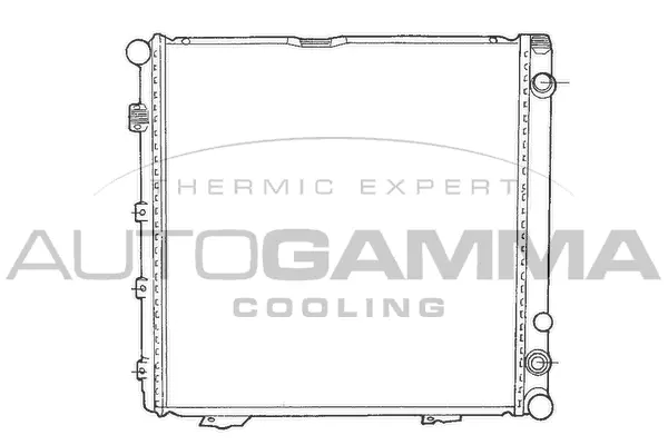 Radiator, engine cooling (100539)