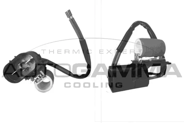 Series resistor, electric motor (radiator fan) (GA15721)