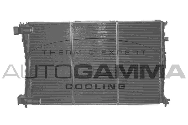 Radiator, engine cooling (101343)