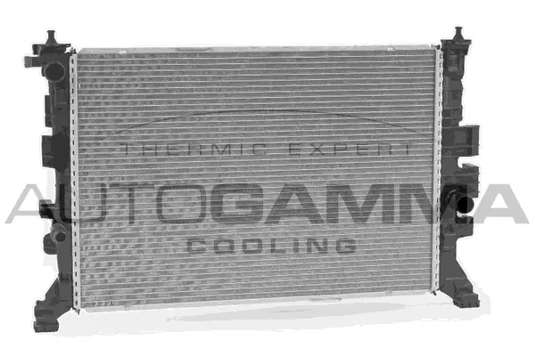 Radiator, engine cooling (107164)