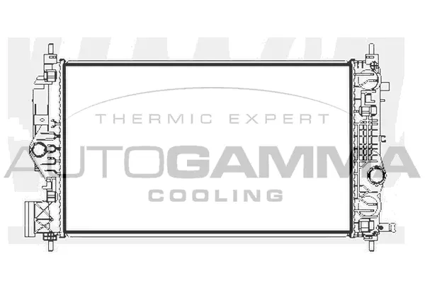 Radiator, engine cooling (107234)