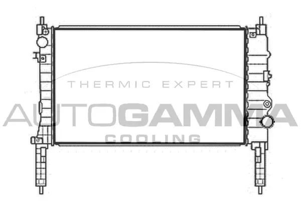 Radiator, engine cooling (107895)