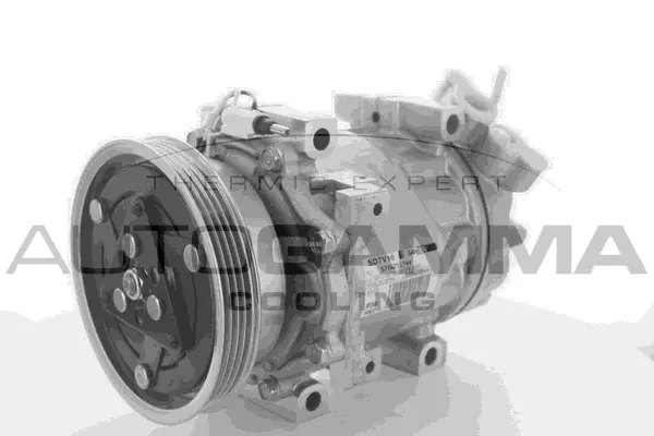 Compressor, air conditioning (118585)