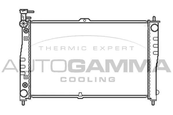 Radiator, engine cooling (103610)