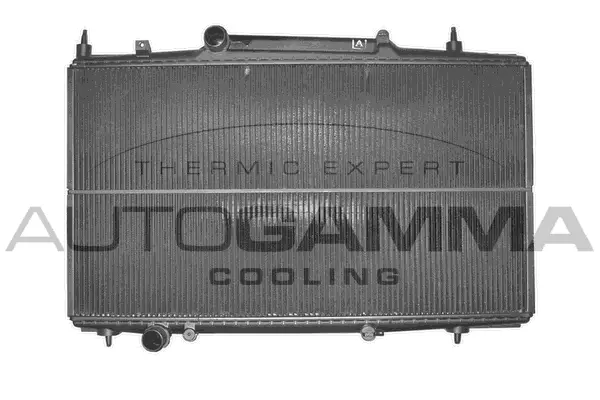 Radiator, engine cooling (102275)