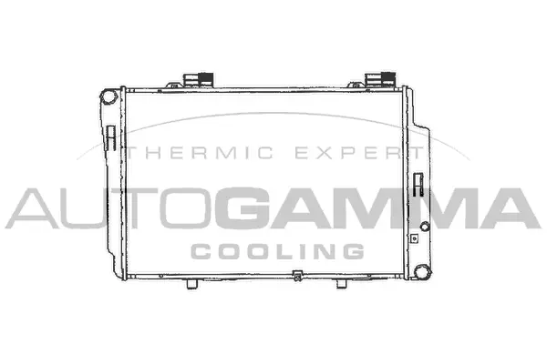 Radiator, engine cooling (101321)