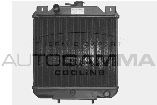 Radiator, engine cooling (103386)