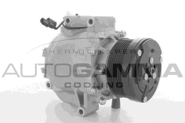 Compressor, air conditioning (118477)