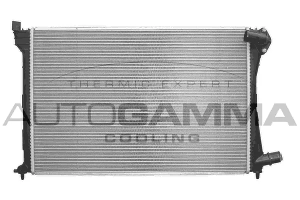 Radiator, engine cooling (101351)