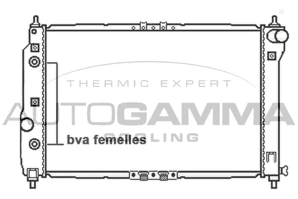 Radiator, engine cooling (105778)