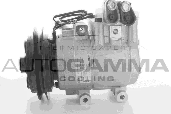 Compressor, air conditioning (118499)