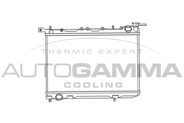 Radiator, engine cooling (102182)