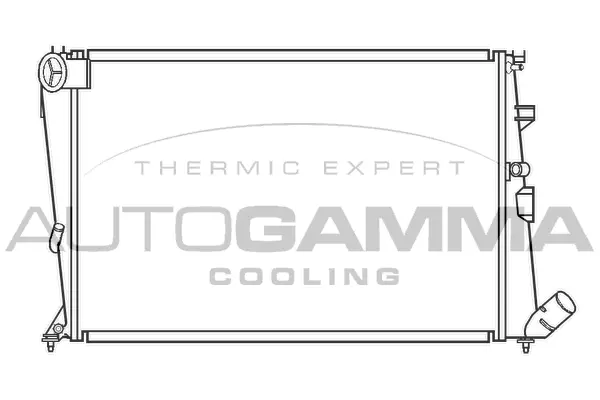 Radiator, engine cooling (100202)