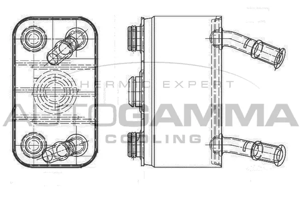 Oil Cooler, engine oil (105816)