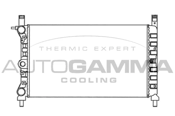 Radiator, engine cooling (100318)