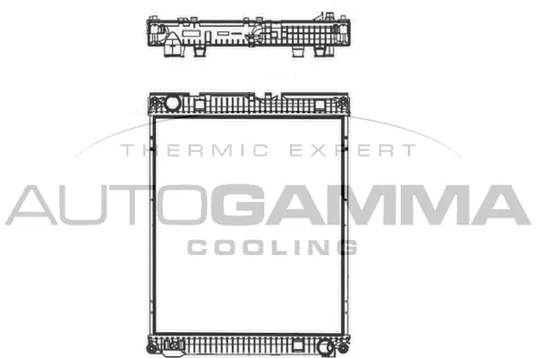 Radiator, engine cooling (404678)