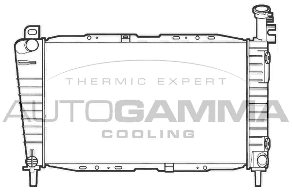 Radiator, engine cooling (101428)